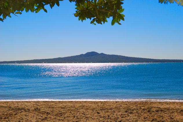 Airport Offer | Auckland International or Domestic to Auckland City