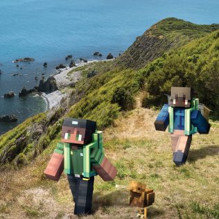 Wildlife Encounters on Kāpiti Island