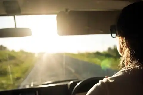 Image for All the important info you need to know